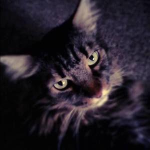 Meet your Posher, Michele